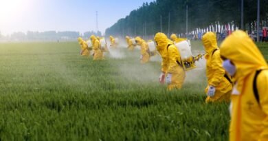 Безпека інсектицидів: токсичність для людини, тварин та навколишнього середовища